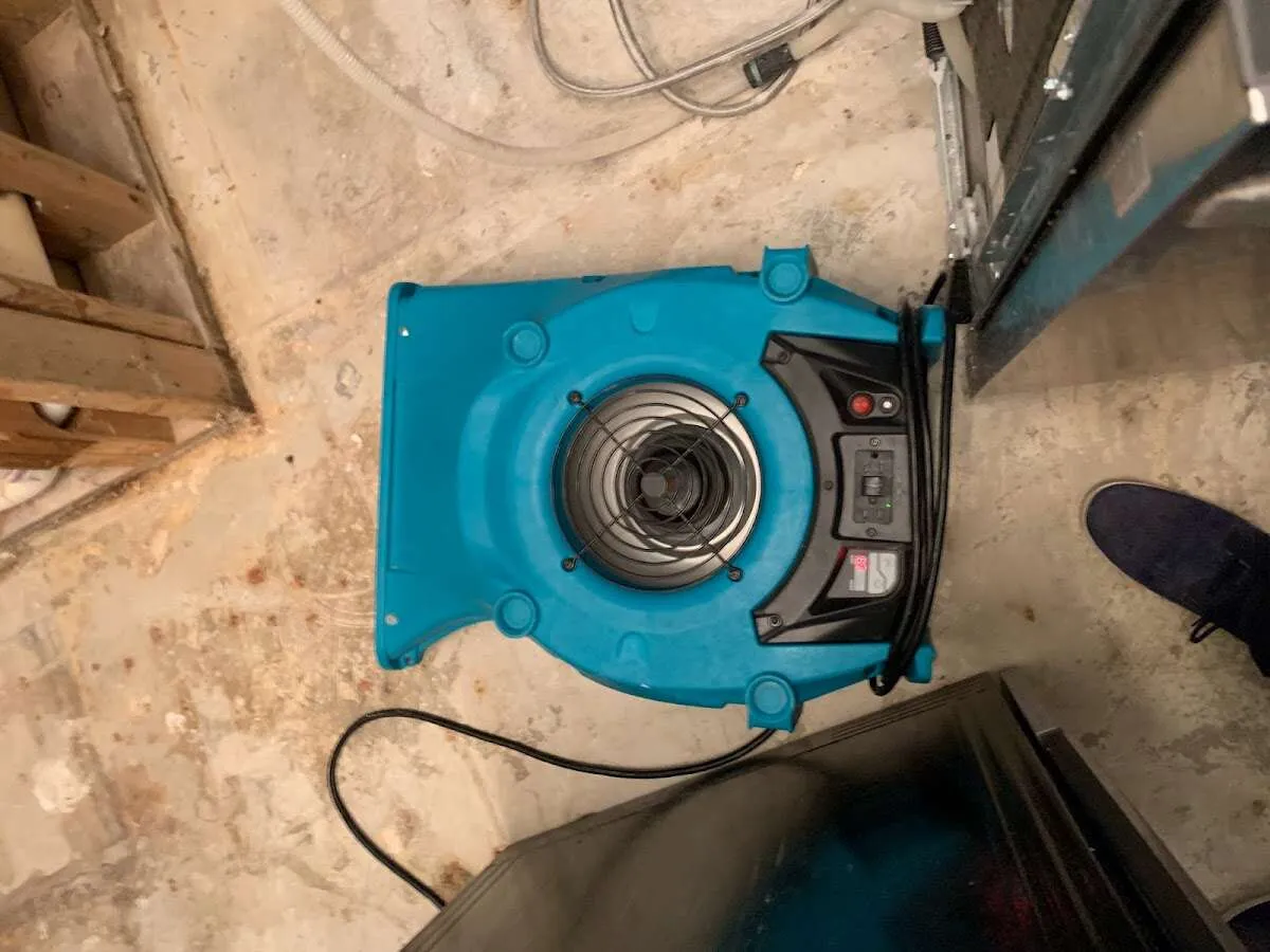 Air mover drying equipment for Mold Remediation & Removal in Kirkland